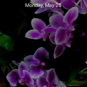 Meet your Posher, Catherine